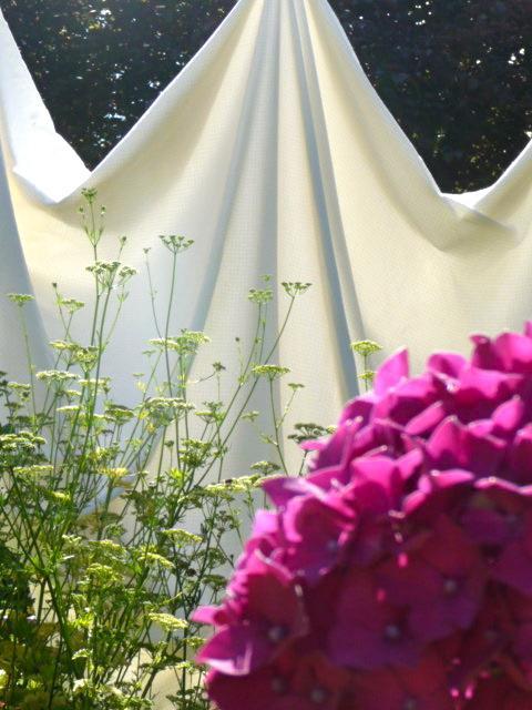 Magnolia Petal Bed & Breakfast Fernwood Exterior foto